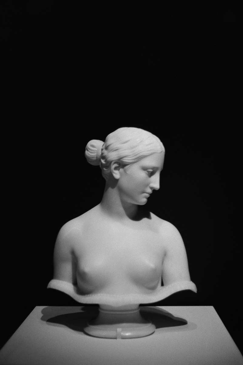 Bust