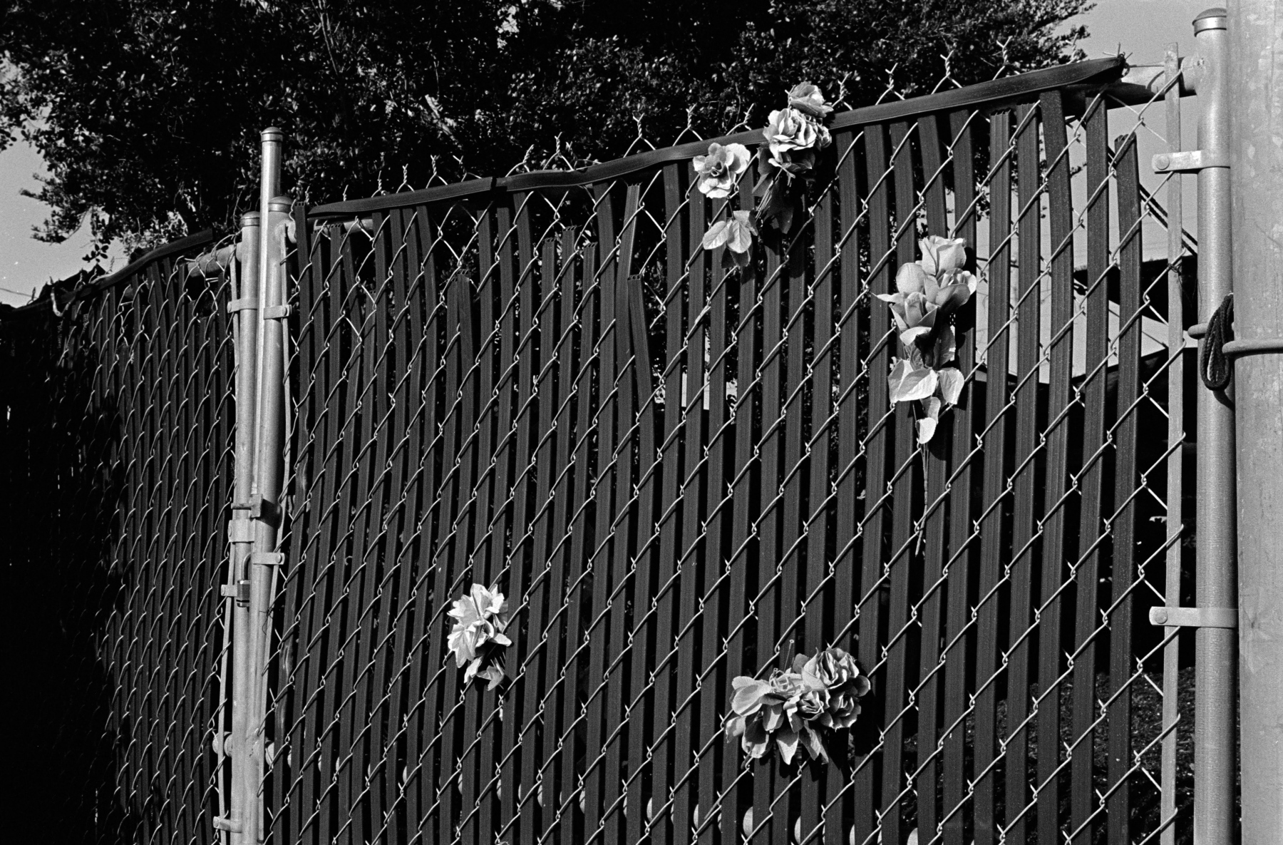 FlowerFence