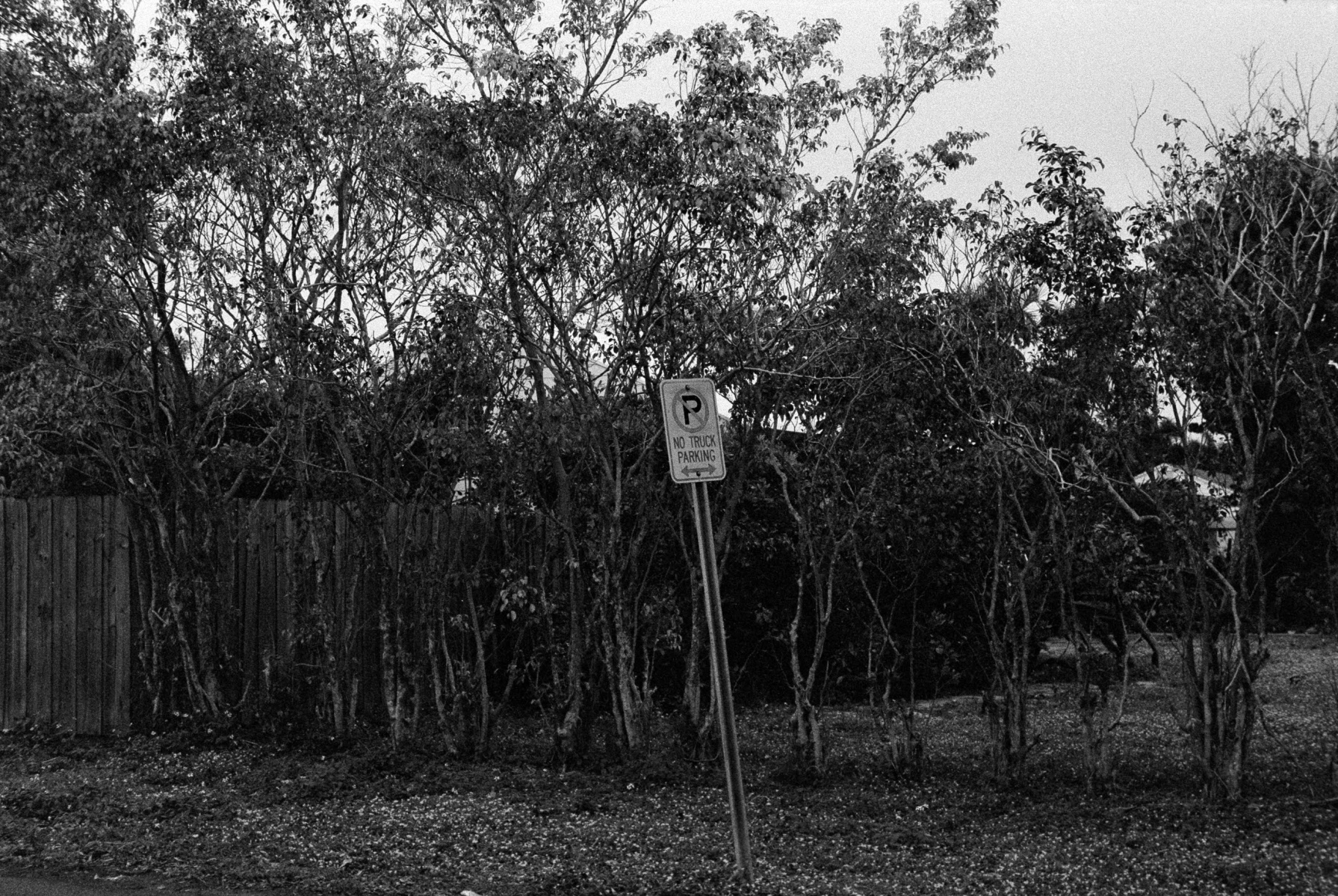 NoParking