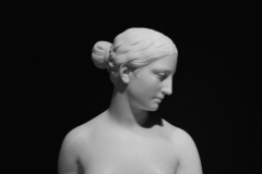 Bust