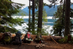 KODAK Digital Still Camera